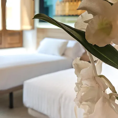 Guest house Original Domino House 3*